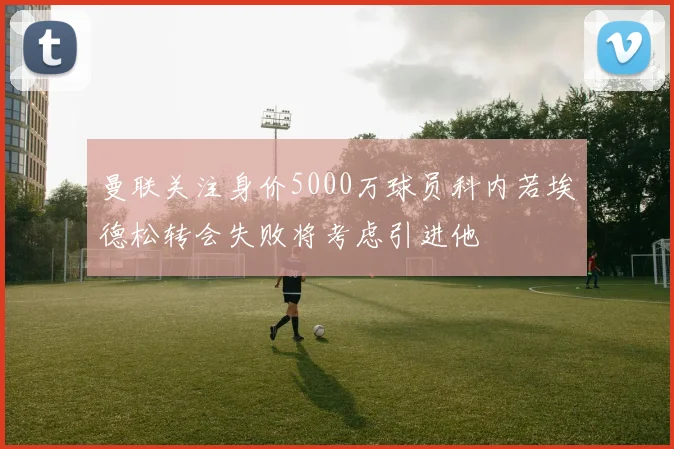 曼联关注身价5000万球员科内若埃德松转会失败将考虑引进他