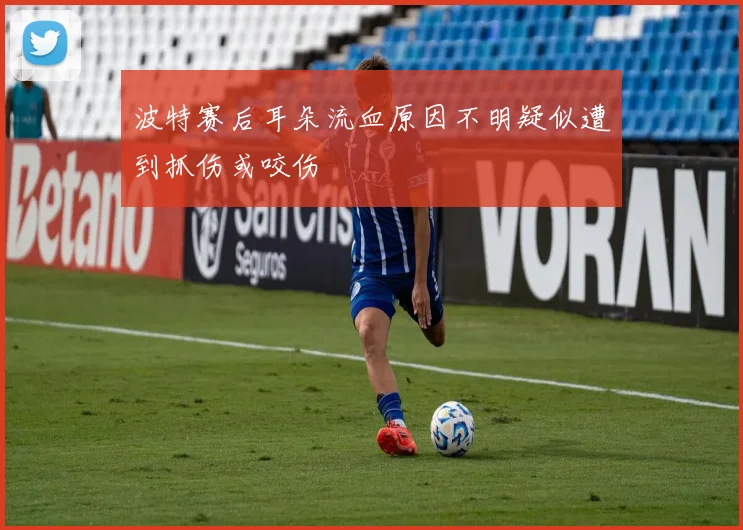 波特赛后耳朵流血原因不明疑似遭到抓伤或咬伤