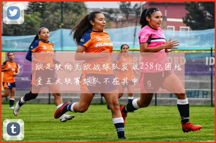欧足联向无欧战球队发放258亿团结金五大联赛球队不在其中