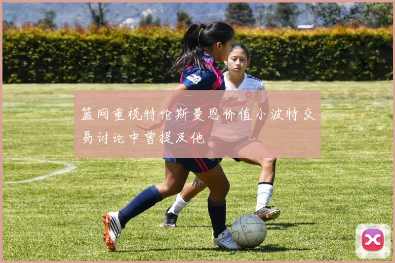 篮网重视特伦斯曼恩价值小波特交易讨论中曾提及他